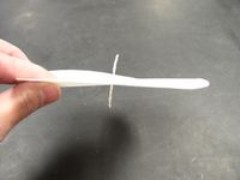 tn_Chromatography Challenge 005